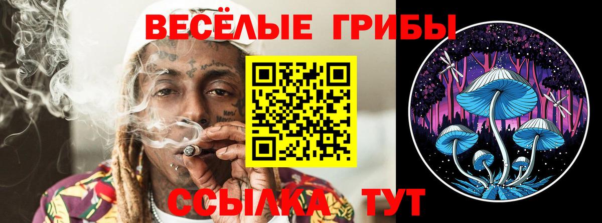 Псилоцибиновые грибы мухоморы  Галлюциногенные грибы мухоморы  Берёзовский 