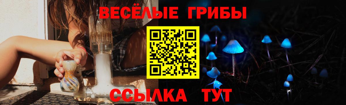 Псилоцибиновые грибы Psilocybine cubensis Берёзовский